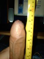 Cock Standing at attention