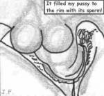 dog cock in Lene's cunt dog cock in Lene's cunt