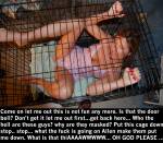 rental wife