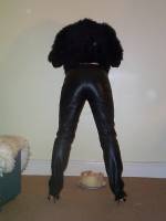 leather20trousers.j.jpg