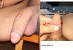 comparison4.JPG