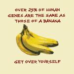 bananas.jpg