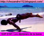 SUP_DAF_001.jpg SUP_DAF_001.jpg