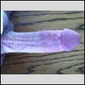 hard cock