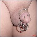 my penis fully pierced