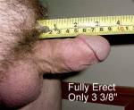 3 3/8" Fully Erect