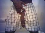 long black snake long black snake