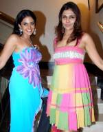 indian wives
