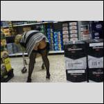 Qui connait une pouffe?? - #1467473-4