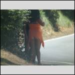 Qui connait une pouffe?? - #1477543-3