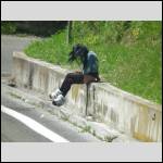 Qui connait une pouffe?? - #1485460-2