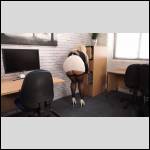 Qui connait une pouffe?? - #1753956-3