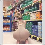 Qui connait une pouffe?? - #1771787-2