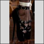 Chaussures a talons/bottes/cuissardes!!!j'adore voir les femmes avec!! - #1184805-3