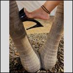 Chaussures a talons/bottes/cuissardes!!!j'adore voir les femmes avec!! - #2003300-2