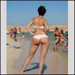 Que du cul !!! - #1234293-1