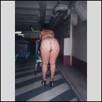 Que du cul !!! - #1240271-2