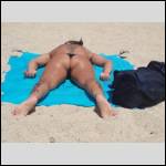 Que du cul !!! - #1241899-1