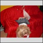Que du cul !!! - #1241921-2