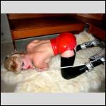 Que du cul !!! - #1250108-1