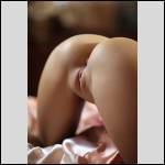 Que du cul !!! - #1268002-2