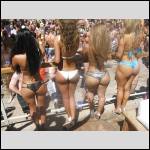 Que du cul !!! - #1299077-1