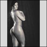 Que du cul !!! - #1401548-1