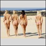 Que du cul !!! - #1412967-1