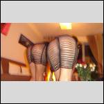 Que du cul !!! - #1456326-1