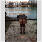 Que du cul !!! - #1469142-2