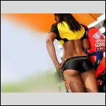 Que du cul !!! - #1488342-3
