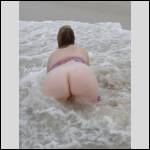 Que du cul !!! - #1526050-1
