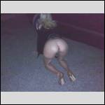 Que du cul !!! - #1561093-2