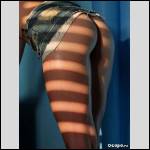 Que du cul !!! - #1595054-1