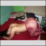 Que du cul !!! - #1599111-3