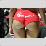 Que du cul !!! - #1603424-1