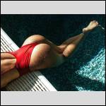 Que du cul !!! - #1630759-3