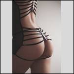 Que du cul !!! - #1649094-3