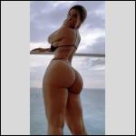 Que du cul !!! - #1672772-4