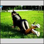pantalons bien port?s.... - #1446064-1