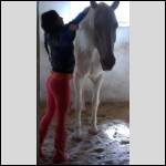 pantalons bien port?s.... - #1449547-3