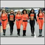 pantalons bien port?s.... - #1501115-2