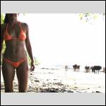 pantalons bien port?s.... - #1557587-1