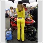 pantalons bien port?s.... - #1564811-1