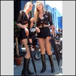 pantalons bien port?s.... - #1567939-2