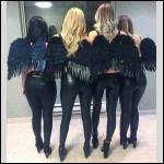 pantalons bien port?s.... - #1609481-4