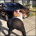 pantalons bien port?s.... - #1640801-1