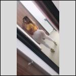 pantalons bien port?s.... - #1669111-3