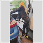 pantalons bien port?s.... - #1679441-1