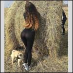pantalons bien port?s.... - #1719714-2